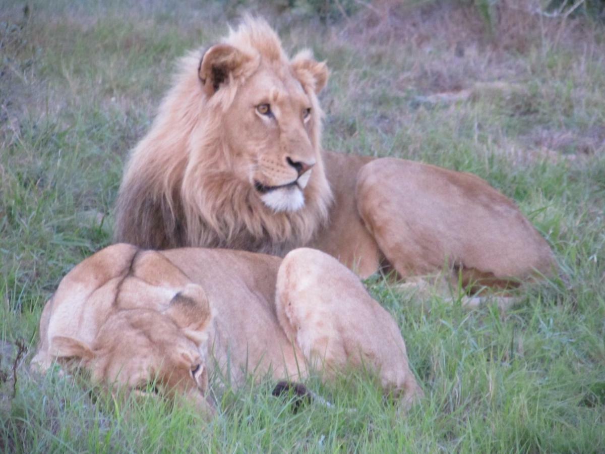 Addo Gateway Lodge Colchester Esterno foto
